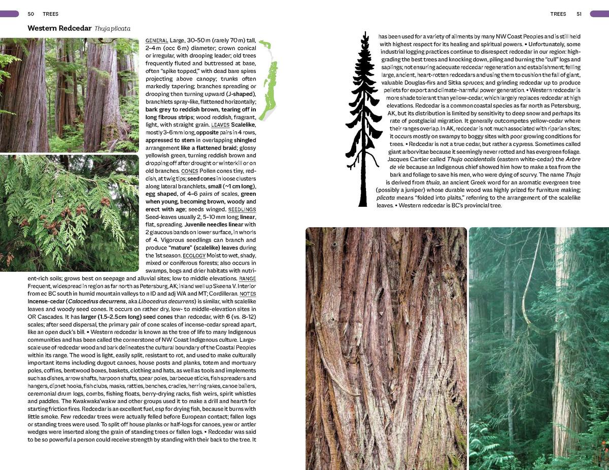 Plants of the Pacific Coast From Alaska to Oregon, including British Columbia and Washington