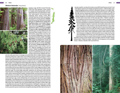 Plants of the Pacific Coast From Alaska to Oregon, including British Columbia and Washington