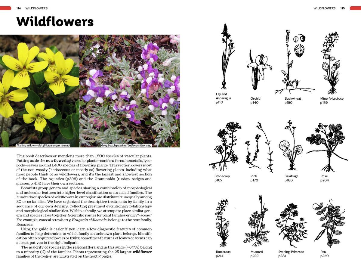 Plants of the Pacific Coast From Alaska to Oregon, including British Columbia and Washington