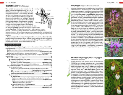 Plants of the Pacific Coast From Alaska to Oregon, including British Columbia and Washington