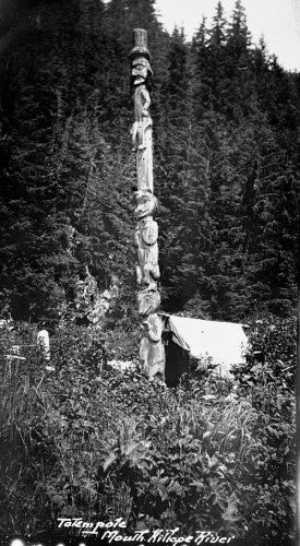 Surveying Central British Columbia