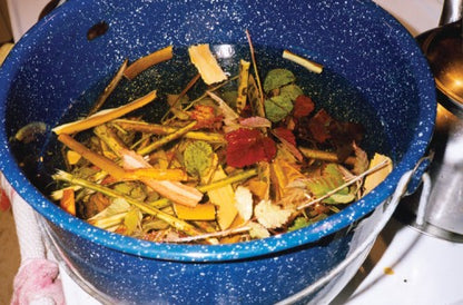 Saanich Ethnobotany