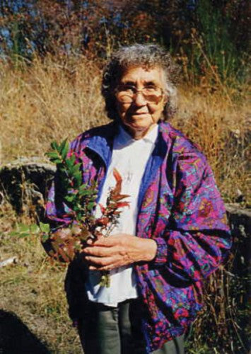 Saanich Ethnobotany