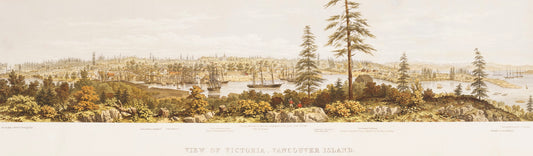 Poster View of Victoria 1860 by H.O. Tiedemann